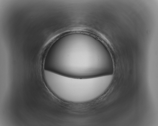 X0000111841456200907231029