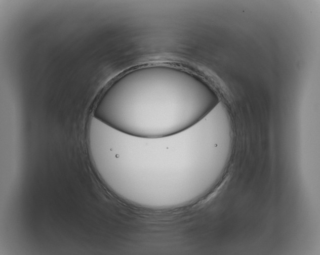X0000111841457200907231029