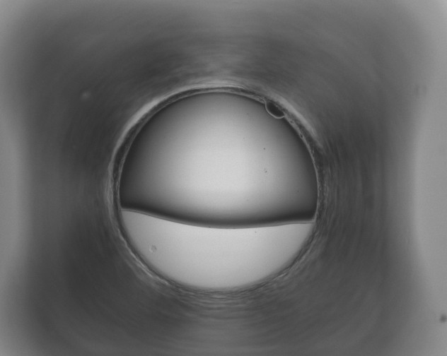 X0000111841460200907231029