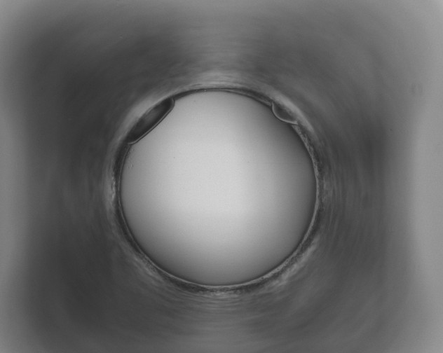 X0000111841461200907231029