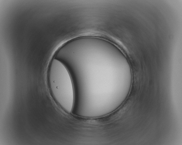 X0000111841463200907231029
