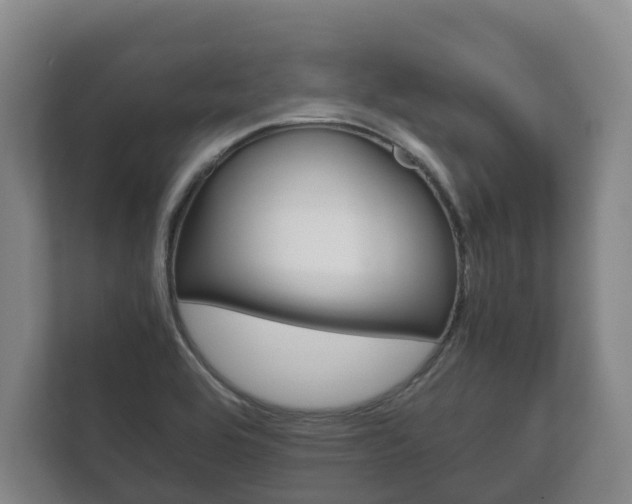 X0000111841464200907231029