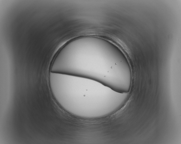 X0000111841465200907231029