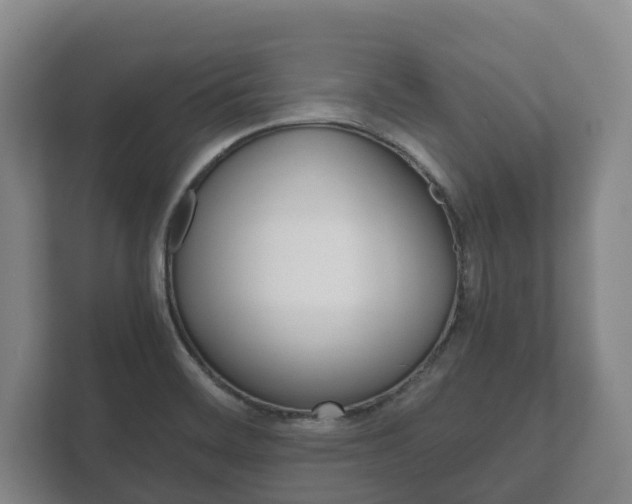 X0000111841468200907231029