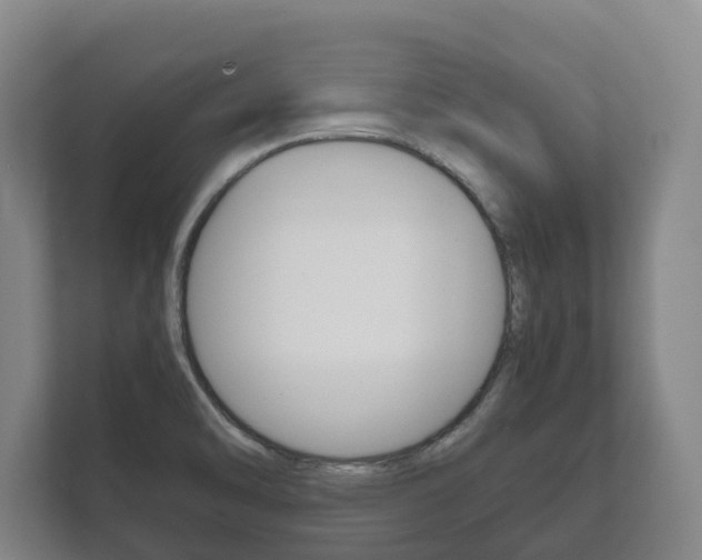 X0000111841470200907231029
