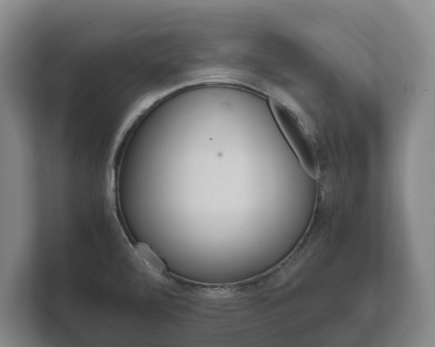 X0000111841472200907231029