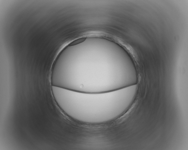 X0000111841473200907231029