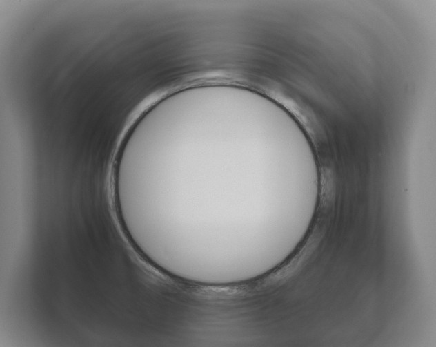 X0000111841474200907231029