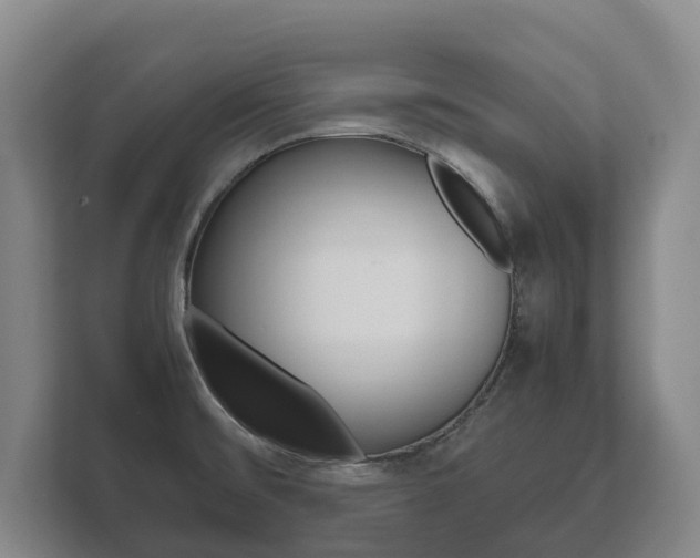 X0000111841476200907231029