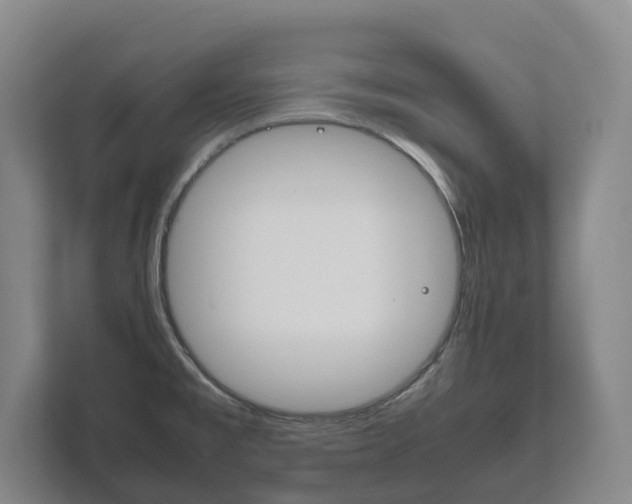 X0000111841477200907231029