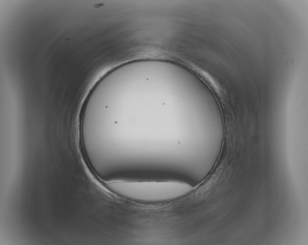 X0000111841479200907231029