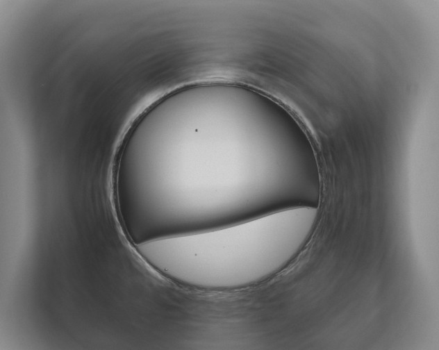 X0000111841480200907231029