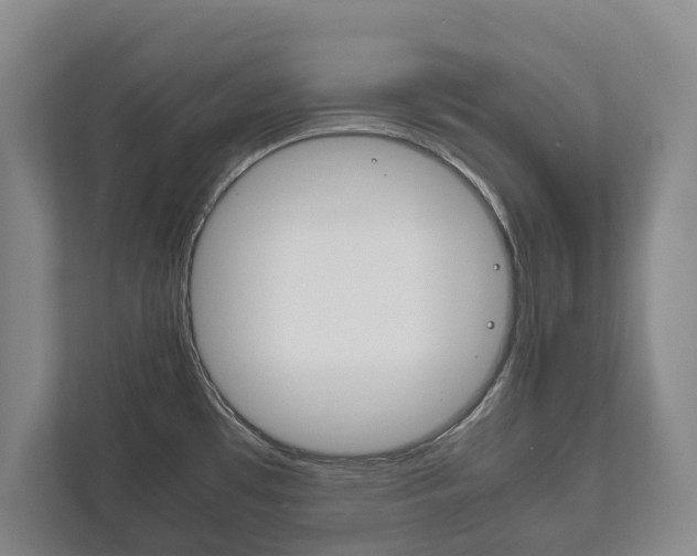 X0000111841481200907231029