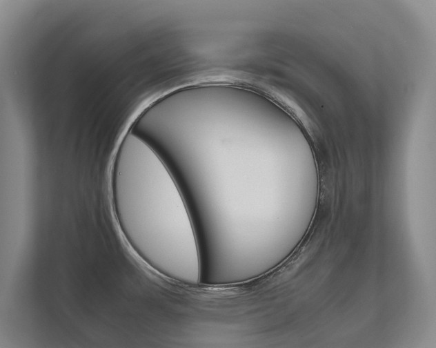 X0000111841483200907231029