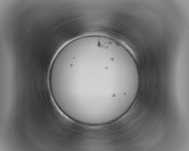 X0000111841484200907231029