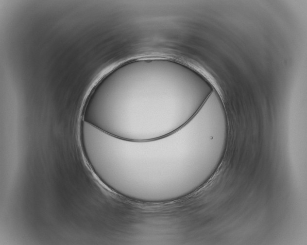 X0000111841485200907231029