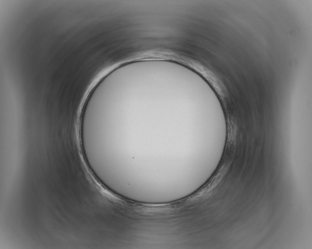 X0000111841486200907231029