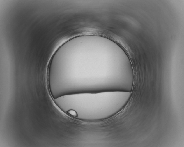 X0000111841487200907231029