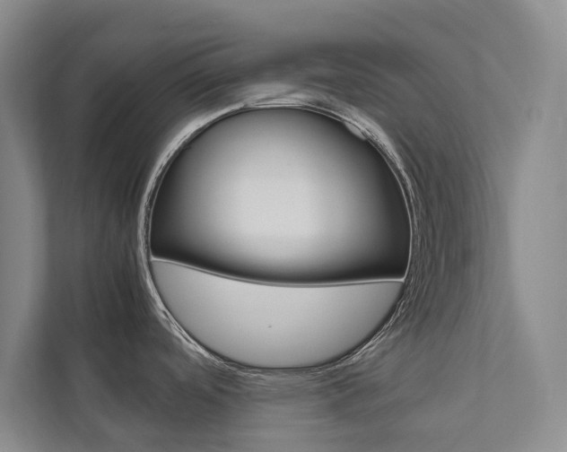 X0000111841488200907231029