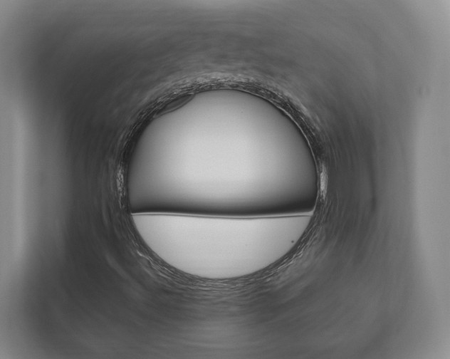 X0000111841492200907231028