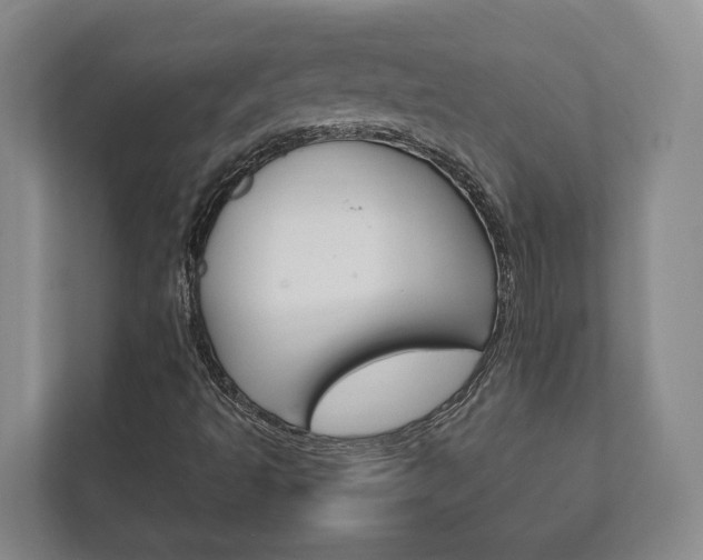X0000111841493200907231028
