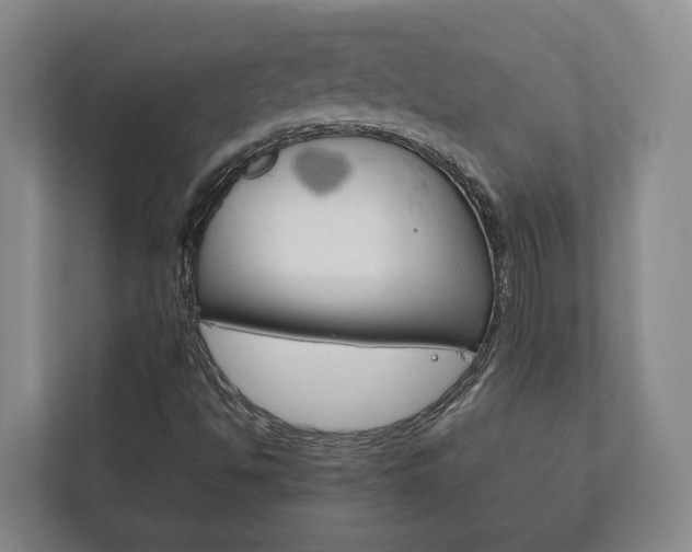 X0000111841494200907231028