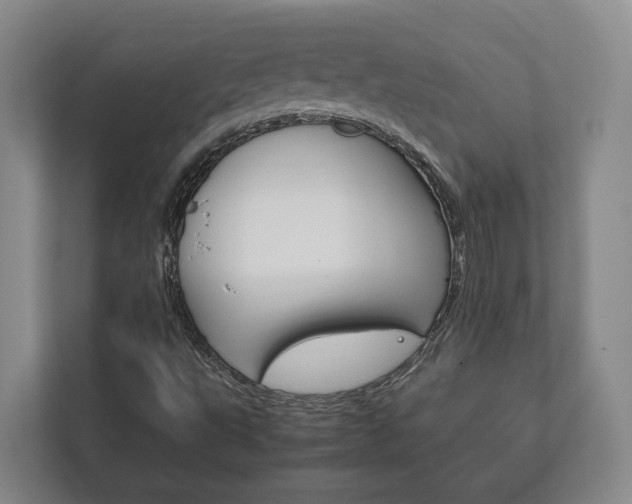 X0000111841495200907231028