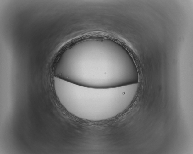 X0000111841496200907231028