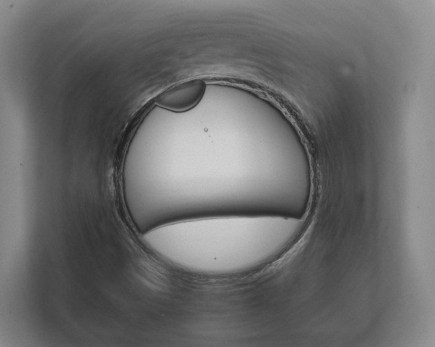 X0000111841497200907231028