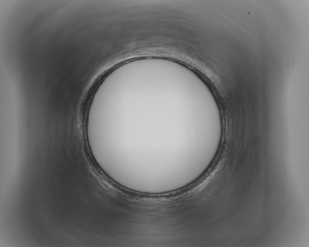 X0000111841498200907231028