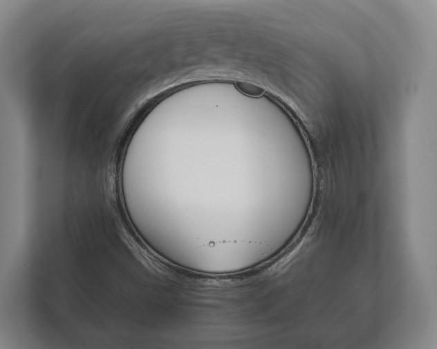 X0000111841499200907231028