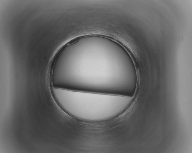 X0000111841500200907231028