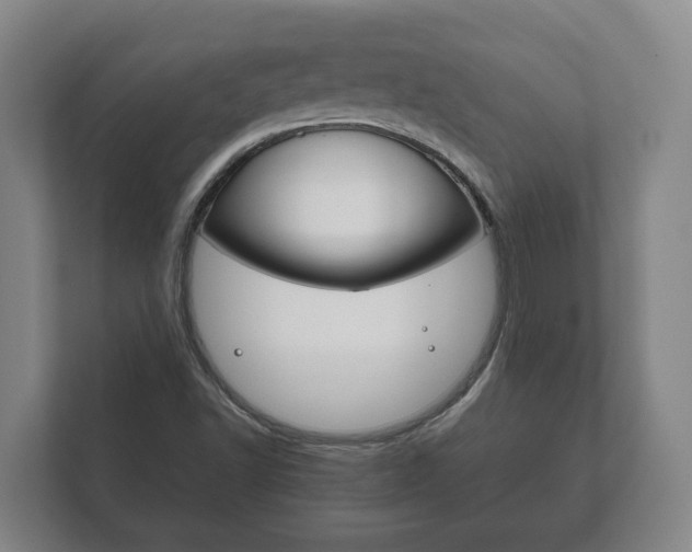 X0000111841502200907231028