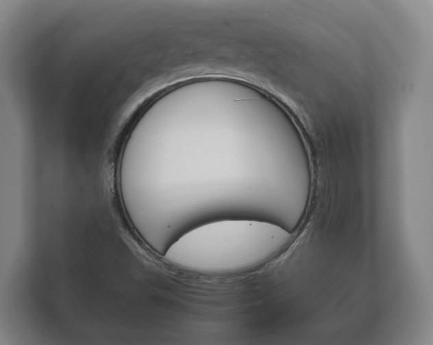 X0000111841503200907231029
