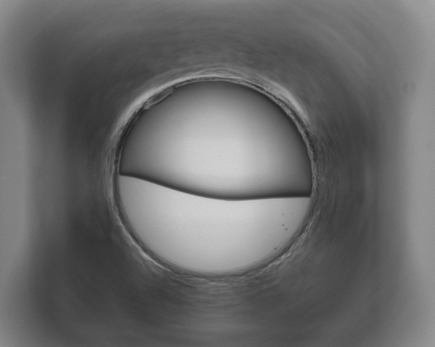 X0000111841504200907231029