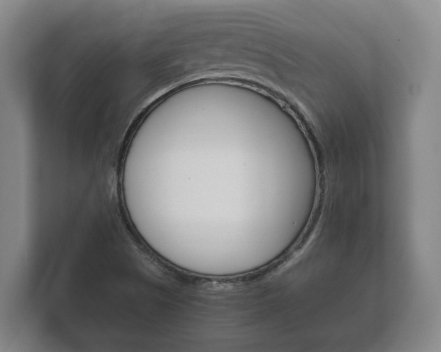 X0000111841505200907231029