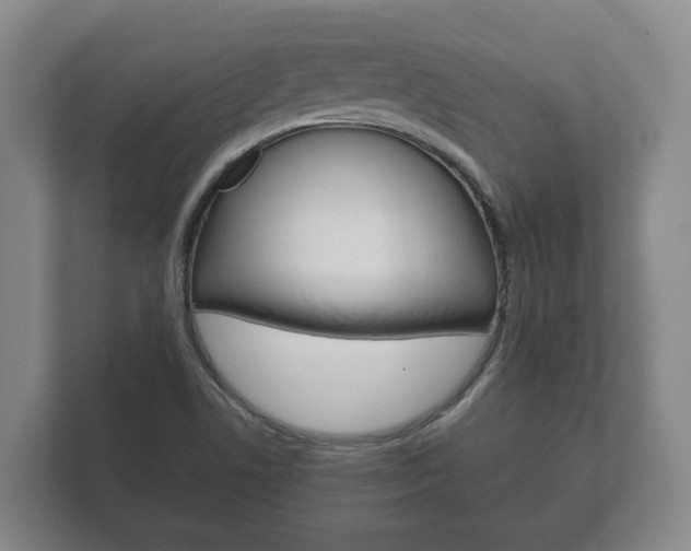 X0000111841506200907231029