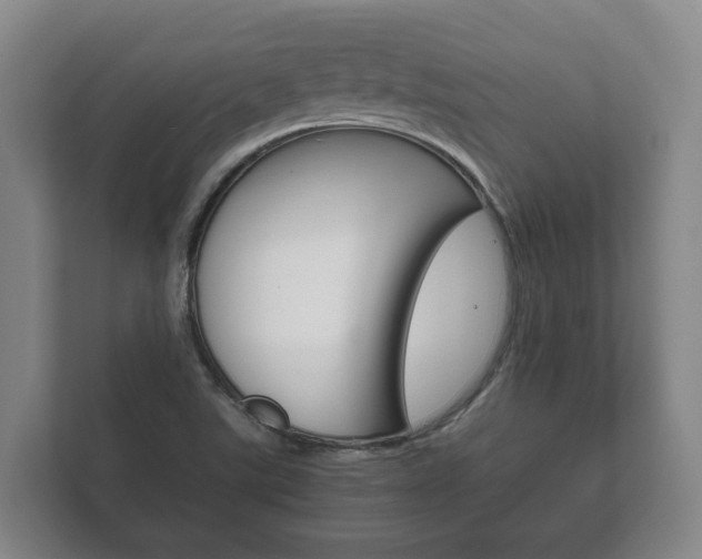 X0000111841507200907231029