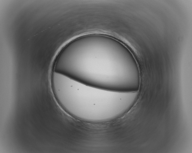 X0000111841508200907231029