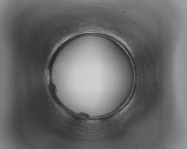 X0000111841509200907231029