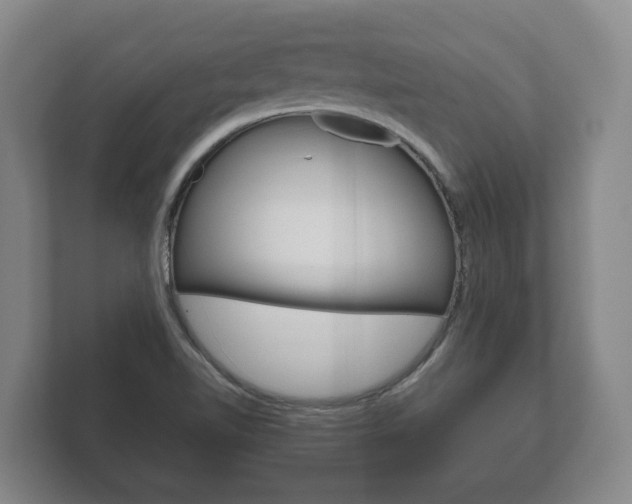 X0000111841510200907231029