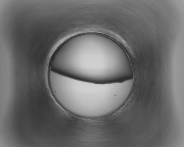 X0000111841512200907231029