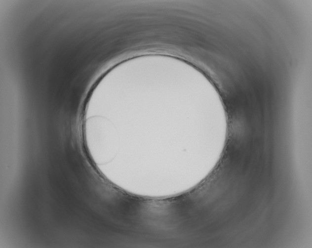 X0000111841514200907231029