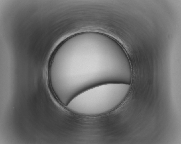 X0000111841515200907231029