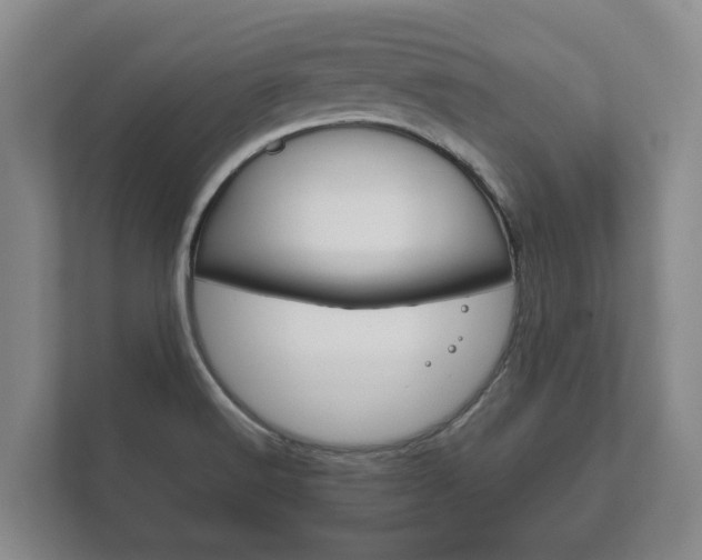 X0000111841516200907231029