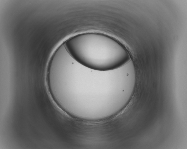 X0000111841518200907231029