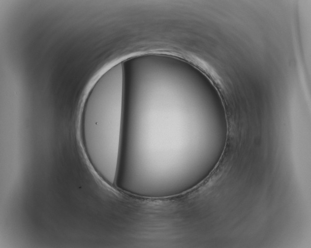 X0000111841520200907231029