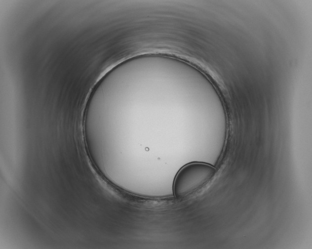 X0000111841521200907231029