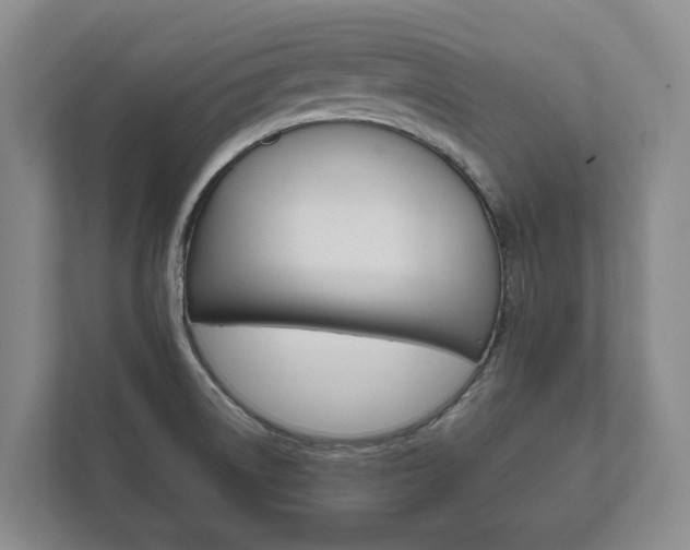 X0000111841522200907231029