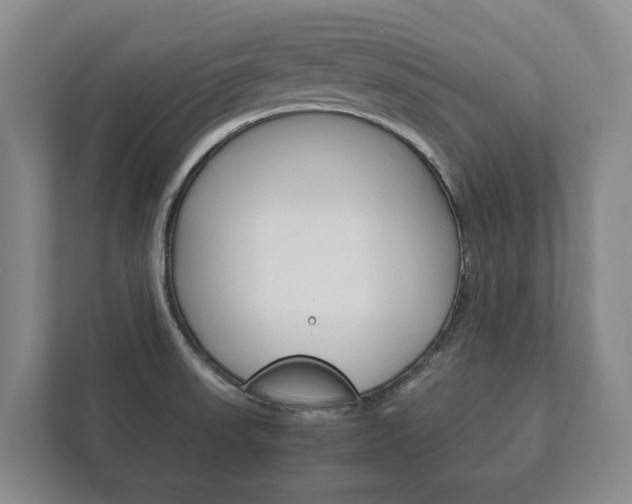 X0000111841523200907231029